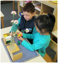 Private Kindergarten in Crystal Lake, Cary, Lake in the Hills, Algonquin, McHenry