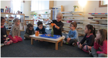Private Kindergarten in Crystal Lake, Cary, Lake in the Hills, Algonquin, McHenry