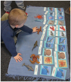 Montessori Preschool, Pre-Kindergaten in Crystal Lake, Cary, Lake in the Hills, Algonquin, McHenry