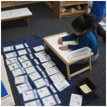 Montessori Preschool, Pre-Kindergaten in Crystal Lake, Cary, Lake in the Hills, Algonquin, McHenry
