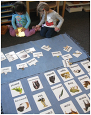 Montessori Preschool, Pre-Kindergaten in Crystal Lake, Cary, Lake in the Hills, Algonquin, McHenry