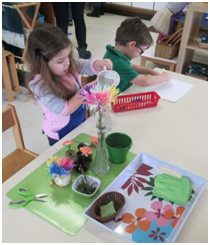 Montessori Preschool in Crystal Lake, Cary, Lake in the Hills, Algonquin, McHenry
