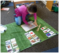 Private Elementary in Crystal Lake, Cary, Lake in the Hills, Algonquin, McHenry