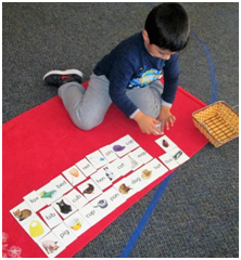 Montessori Preschool in Crystal Lake, Cary, Lake in the Hills, Algonquin, McHenry