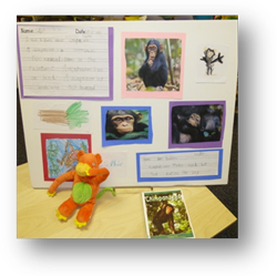 Montessori Elementary in Crystal Lake, McHenry