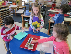 Montessori Preschool in Crystal Lake, Cary, Lake in the Hills, Algonquin, McHenry