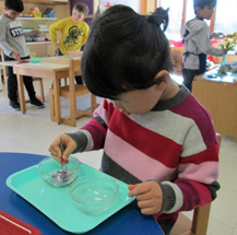 Montessori Preschool in Crystal Lake, Cary, Lake in the Hills, Algonquin, McHenry