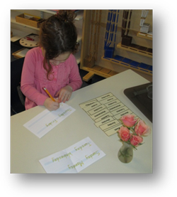 Montessori Elementary in Crystal Lake, Cary
