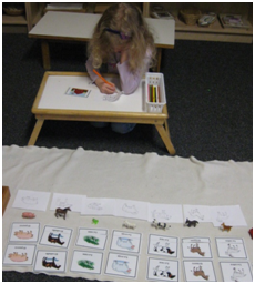 Montessori Preschool in Crystal Lake, Cary, Lake in the Hills, Algonquin, McHenry