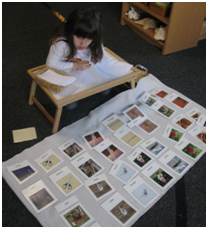 Private Kindergarten in Crystal Lake, Cary, Lake in the Hills, Algonquin, McHenry