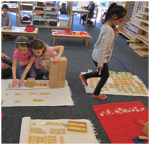 Montessori Preschool in Crystal Lake, Cary, Lake in the Hills, Algonquin, McHenry