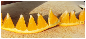 Private Kindergarten in Crystal Lake, Cary, Lake in the Hills, Algonquin, McHenry