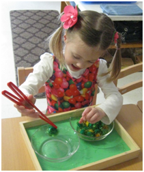 Montessori Preschool, Pre-Kindergaten in Crystal Lake, Cary, Lake in the Hills, Algonquin, McHenry