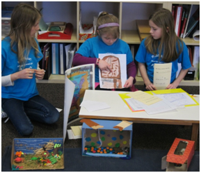 Private Elementary in Crystal Lake, Cary, Lake in the Hills, Algonquin, McHenry