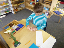 Private Elementary in Crystal Lake, Cary, Lake in the Hills, Algonquin