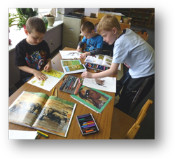 Private Elementary in Crystal Lake, Cary, Lake in the Hills, Algonquin