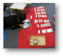 Montessori Preschool in Crystal Lake, Cary, Lake in the Hills, Algonquin