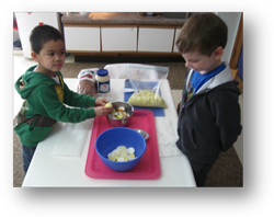 Montessori Preschool in Crystal Lake, Cary, Lake in the Hills, Algonquin