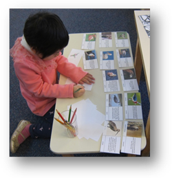 Montessori AllDay DayCare in Crystal Lake, Cary, Lake in the Hills, Algonquin