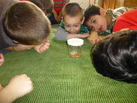 Private Kindergarten and Preschool in Crystal Lake, Cary, Lake in the Hills, Algonquin