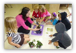 Private Elementary in Crystal Lake, Cary