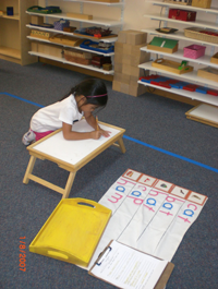 Kindergarten in Crystal Lake, Cary, Lake in the Hills, Algonquin