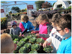 Private Elementary in Crystal Lake, Cary, Lake in the Hills, Algonquin, McHenry