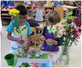 Montessori Preschool in Crystal Lake, Cary, Lake in the Hills, Algonquin, McHenry