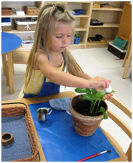 Montessori Preschool in Crystal Lake, Cary, Lake in the Hills, Algonquin, McHenry