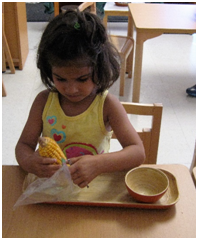 Montessori Preschool in Crystal Lake, Cary, Lake in the Hills, Algonquin, McHenry