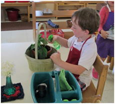 Montessori Preschool in Crystal Lake, Cary, Lake in the Hills, Algonquin, McHenry
