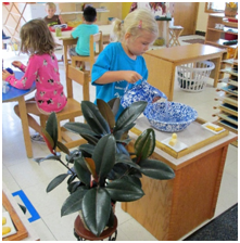 Montessori Preschool in Crystal Lake, Cary, Lake in the Hills, Algonquin, McHenry