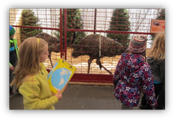 Private Elementary in Crystal Lake, Cary, Lake in the Hills, Algonquin