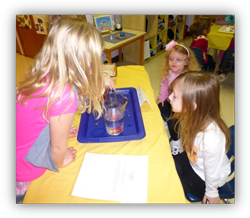 Private Elementary in Crystal Lake, Cary, Lake in the Hills, Algonquin