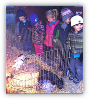 Montessori Kindergarten in Crystal Lake, Cary, Lake in the Hills, Algonquin
