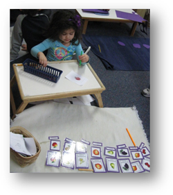 Montessori Preschool in Crystal Lake, Cary, Lake in the Hills, Algonquin